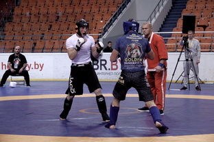 九游娱乐登录-搏击台上竞技水平持续提高，搏击台上竞技水平持续提高怎么办