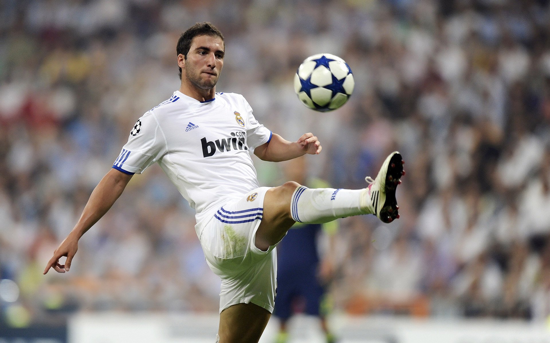 南非羚羊队:每一次对抗都显得充满力量和技巧,令对手无法招架